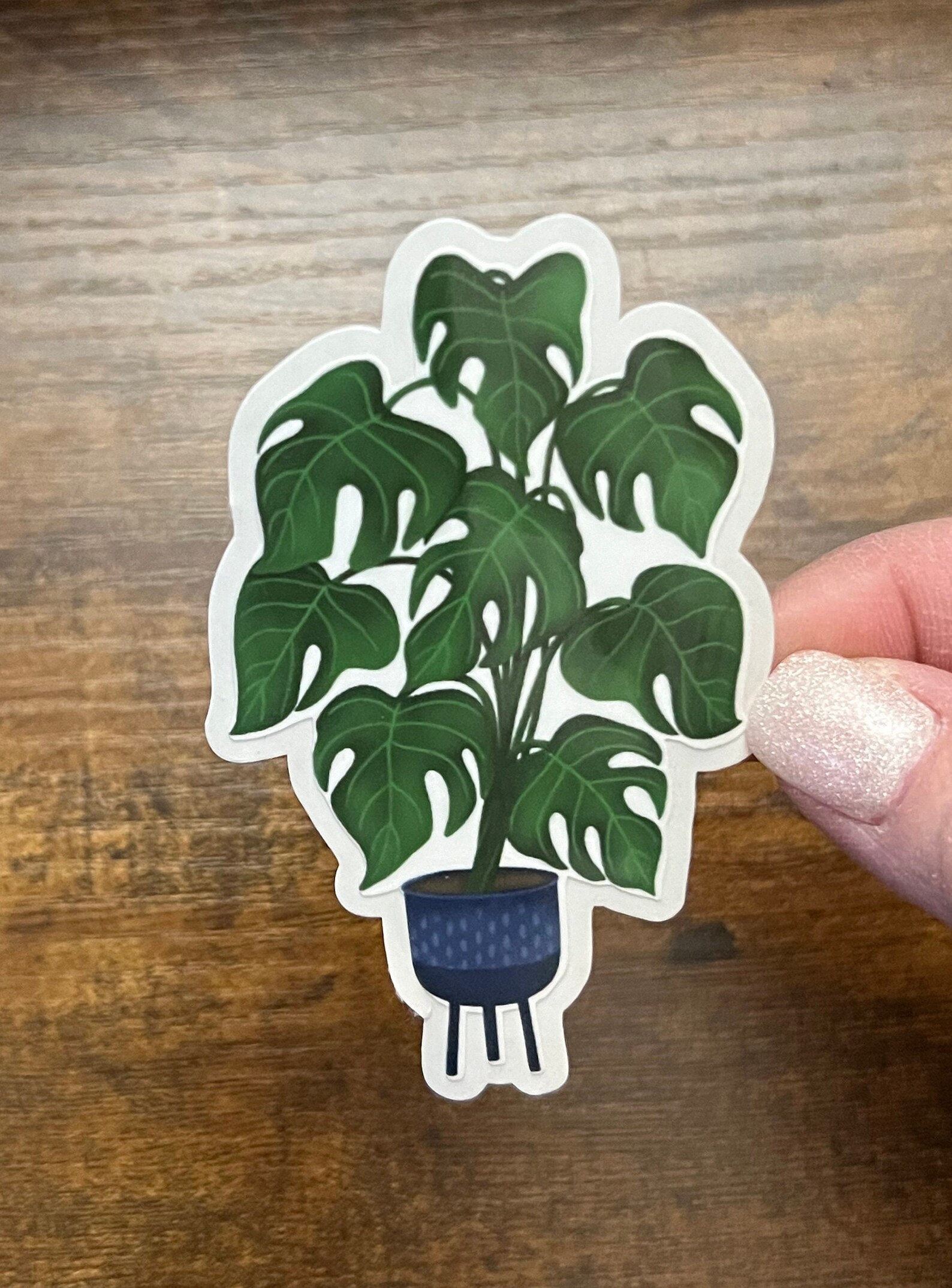 Monstera Plant Sticker, Monstera Sticker, Monstera, Monstera Plant ...