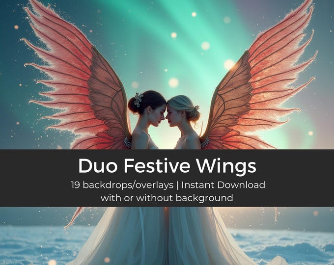 19x Duo Festive Wings, Transparent, Golden Wings Overlay, Angelic Wing Effect, Photo Editing Overlay, Digital Art Supply