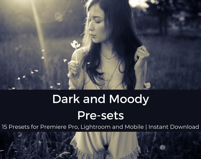 Dark and moody preset | Lightroom | Premiere | Luts | Cube file | Mobile