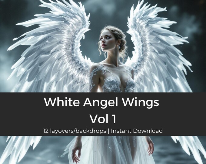 12 Angel Wings, Backdrop, Photography Backdrop, Photo Shoot Background, Party Decor, Event Decoration, Heavenly Theme, Digital art supply