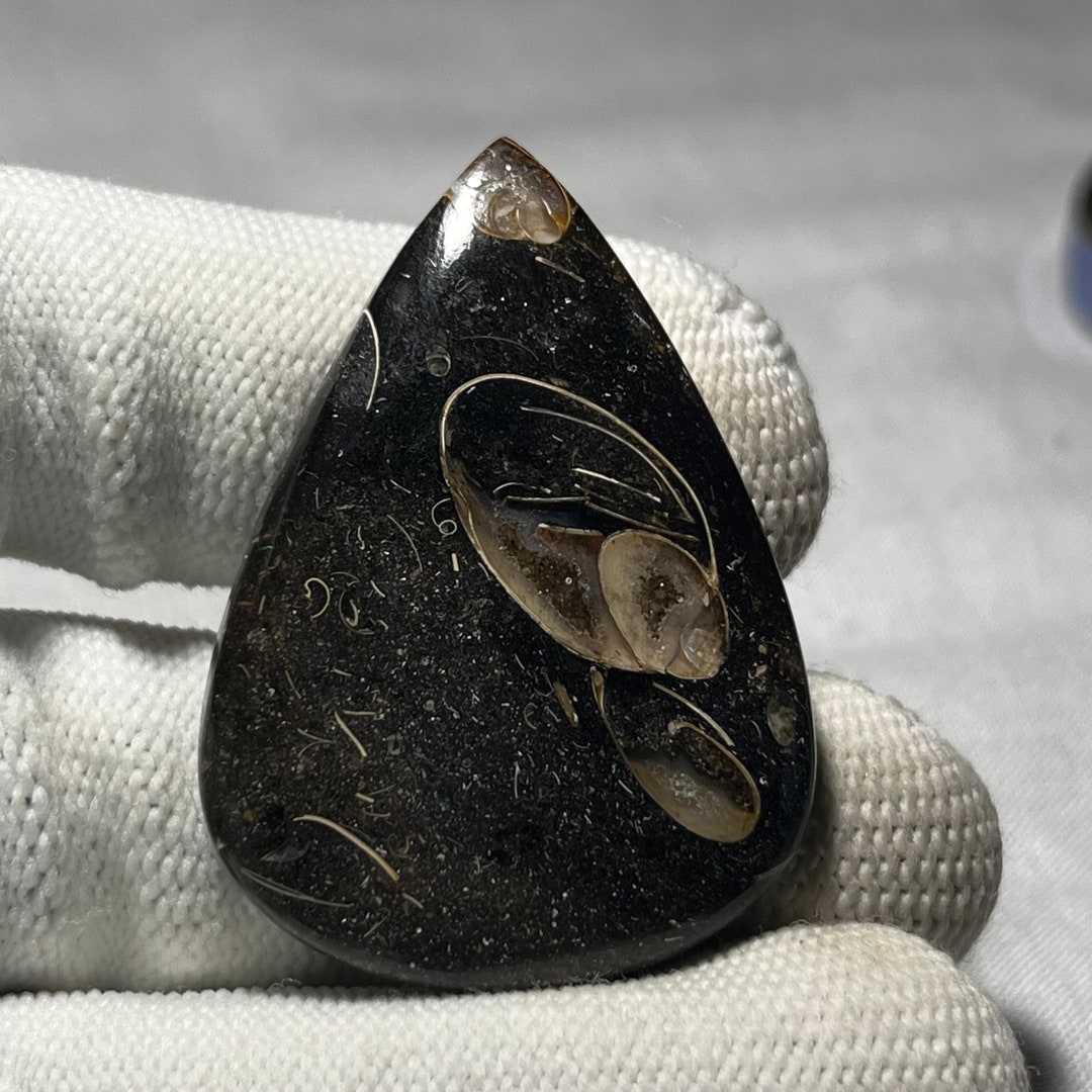 High Quality Black Shell Gemstone Nature Black Shell Cabochon Handmade ...