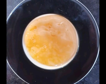 Kombucha SCOBY: Natural Starter Culture for Home Brewing