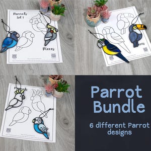 Peut inclure: Ensemble d'ornements en vitrail sur le thème des perroquets et de pages à colorier. Les ornements présentent des couleurs vives et des motifs complexes, dont un ara bleu et jaune, un toucan et un cacatoès. Le texte "Parrot Bundle" et "6 different Parrot designs" est également visible.