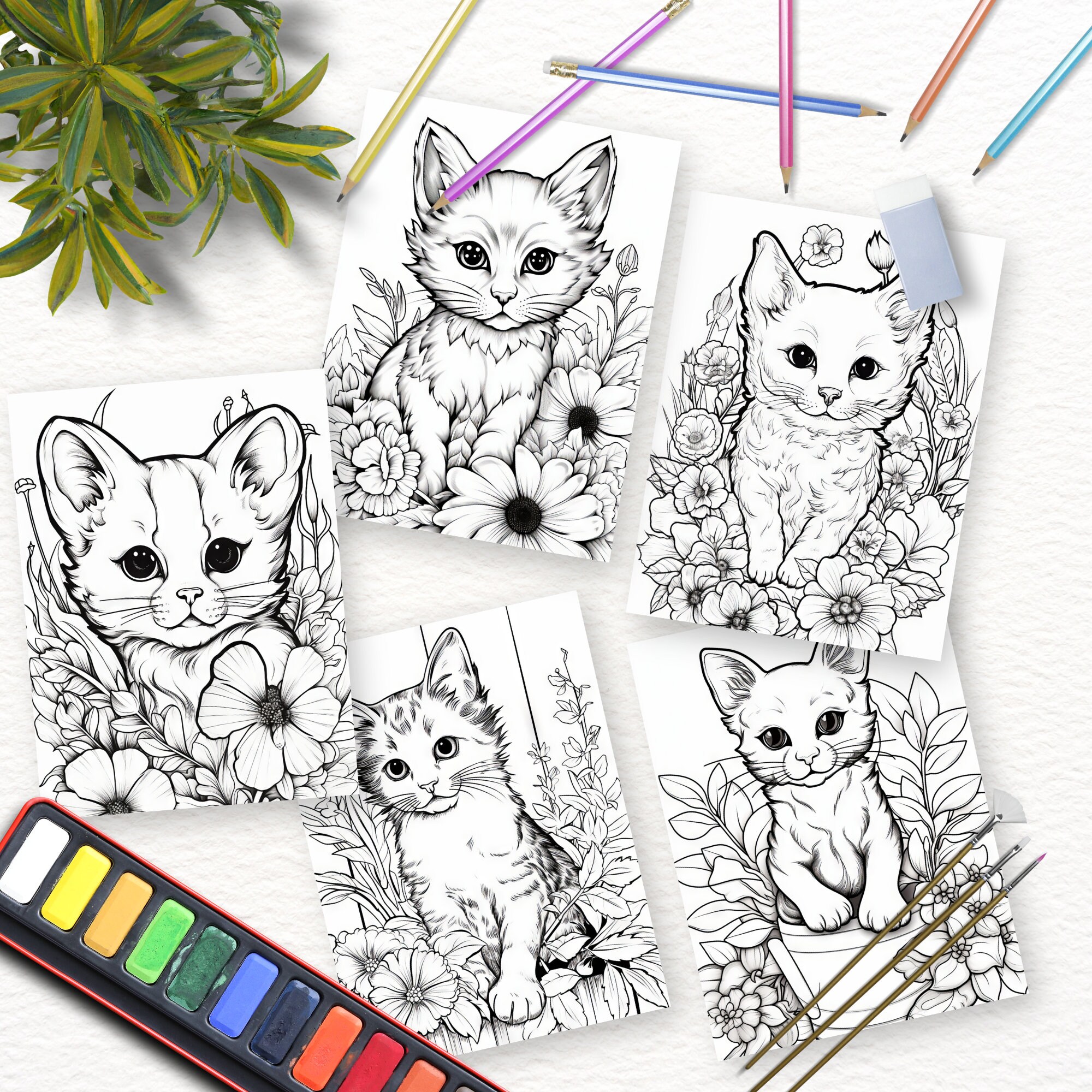 27 Color Pages 27 Coloring Pages Kittens Coloring Pages Printable - Etsy