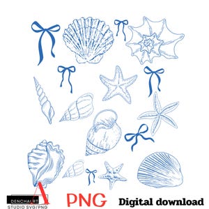 Może przedstawiać: Zestaw niebieskich rysunków liniowych muszli, rozgwiazd i kokardek. Rysunki znajdują się na białym tle. Cyfrowy plik PNG do pobrania.