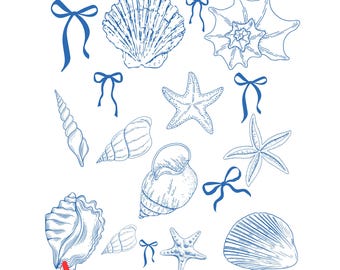 Coqueta Concha PNG Playa PNG Verano PNG Nieta Costera Impresión Sublimación Gráfico Clipart Lazo Azul Clipart Descarga Digital