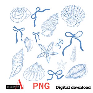 Kokietka Muszla PNG Plaża PNG Lato PNG Nadmorski Wnuczka Druk Sublimacja Grafika Clipart Niebieska Kokarda Clipart Cyfrowe pobieranie
