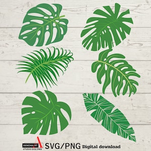 Tropical leaves svg ,monstera leaf svg clipart ,commercial use svg,jungle leaves clipart ,palm branch svg ,tropical party decor,monstera svg