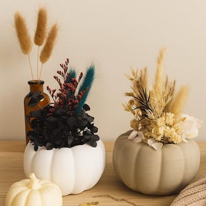 Pumpkins I Autumn decoration I Gift idea I Raysin decoration I Pumpkin decoration I Dried flowers