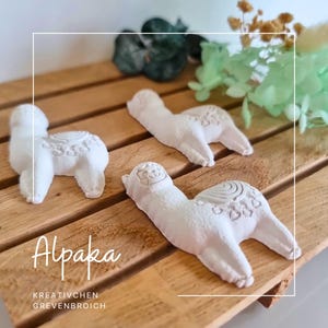 Alpaka I pamiątka I prezent dla gości I lama