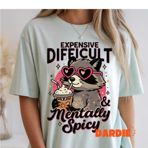 Teures schwieriges & geistig würziges PNG, lustige Waschbär-sarkastische Sublimation, frecher Retro Humor-psychischer Gesundheitsentwurf