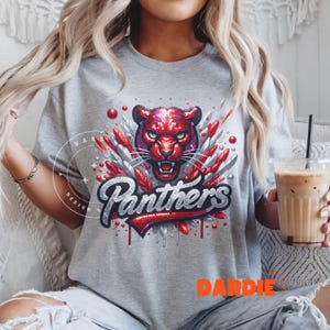 May include: Gray t-shirt with a red and silver sequined panther head and the word "Panthers" in red and silver sequins.