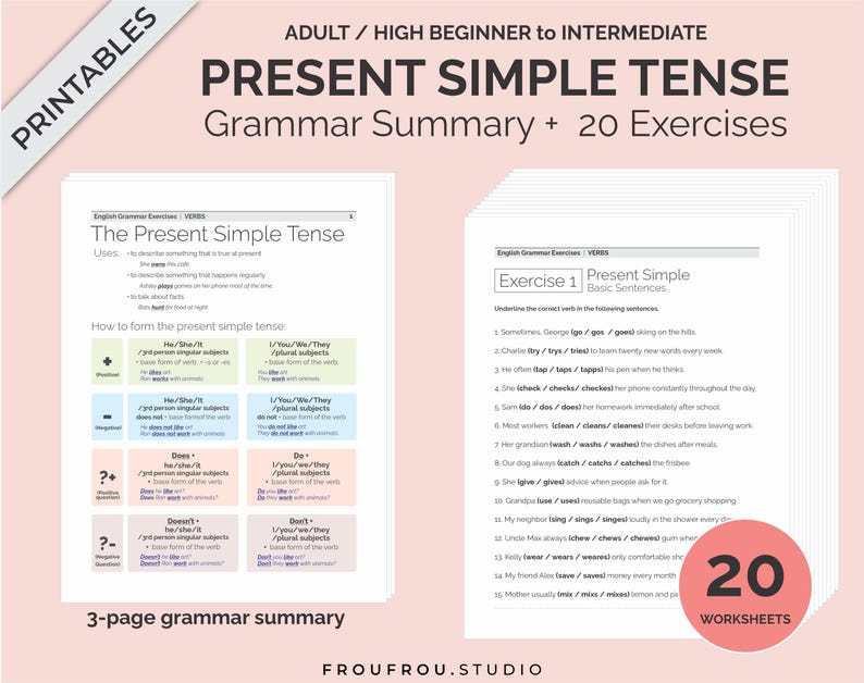 Simple Present Tense Mini-lesson and 20 Worksheets Printable ESL Pack - Simple Present Tense Exercises For Adults/Beginners to Intermediate image 1