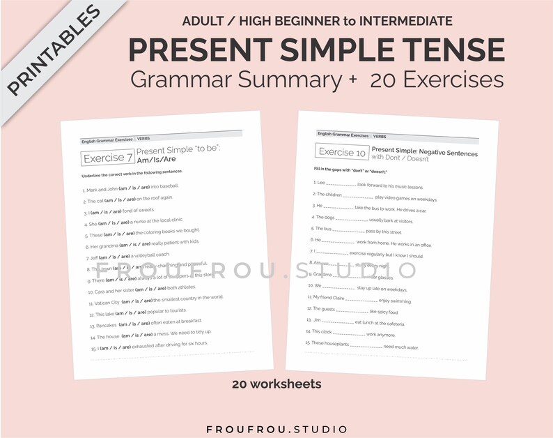 Simple Present Tense Mini-lesson and 20 Worksheets Printable ESL Pack - Simple Present Tense Exercises For Adults/Beginners to Intermediate image 5