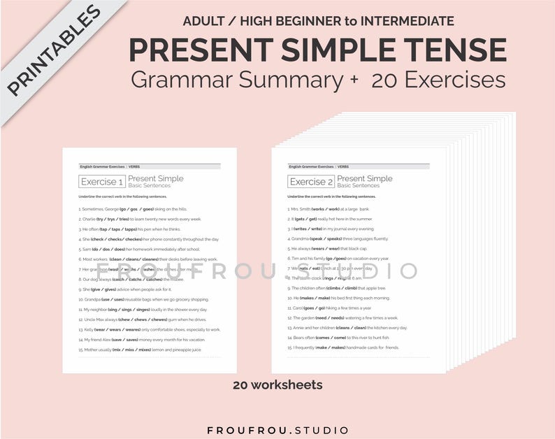 Simple Present Tense Mini-lesson and 20 Worksheets Printable ESL Pack - Simple Present Tense Exercises For Adults/Beginners to Intermediate image 4