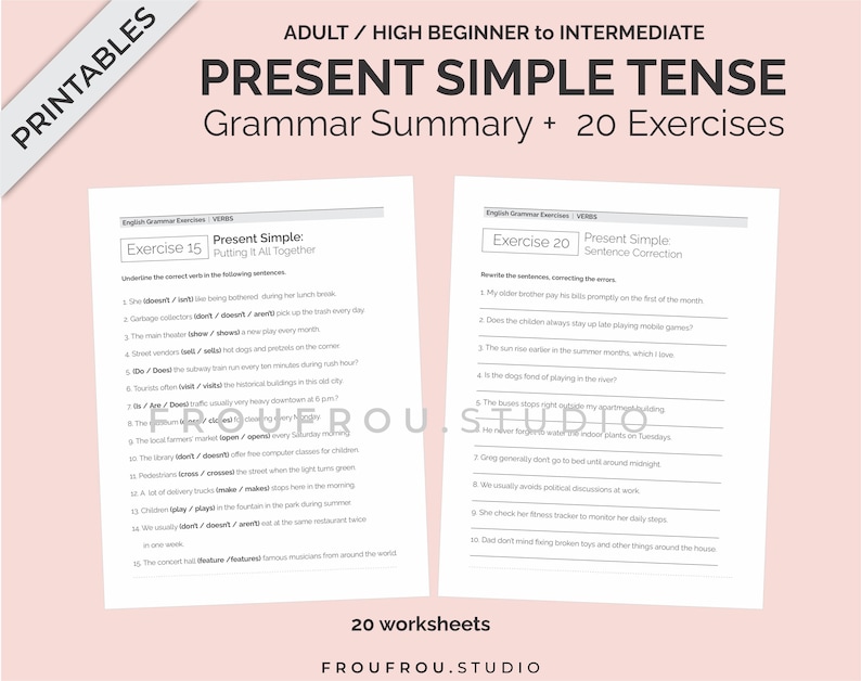 Simple Present Tense Mini-lesson and 20 Worksheets Printable ESL Pack - Simple Present Tense Exercises For Adults/Beginners to Intermediate image 6