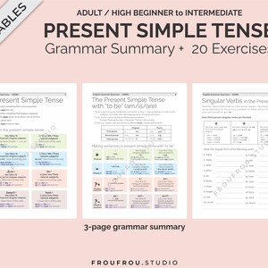 Simple Present Tense Mini-lesson and 20 Worksheets Printable ESL Pack - Simple Present Tense Exercises For Adults/Beginners to Intermediate image 3