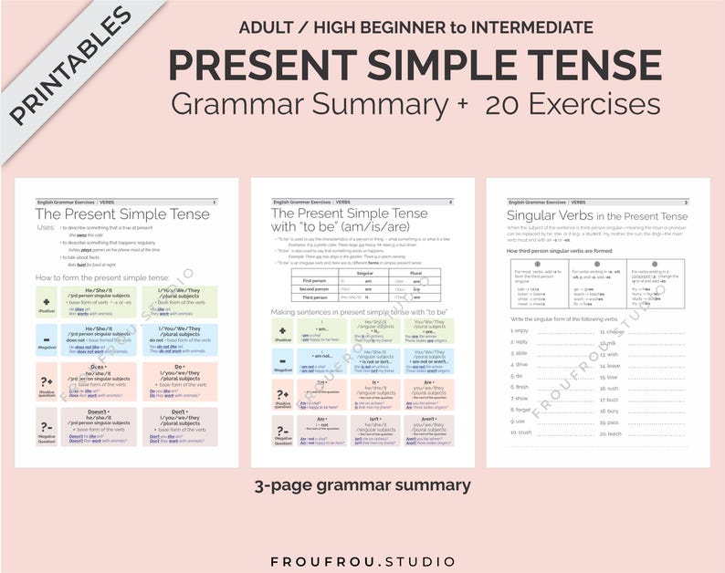 Simple Present Tense Mini-lesson and 20 Worksheets Printable ESL Pack - Simple Present Tense Exercises For Adults/Beginners to Intermediate image 3