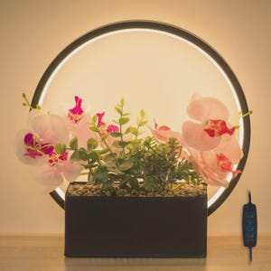 May include: A decorative lamp featuring a black circular frame with a warm glow. The lamp showcases a rectangular black planter filled with greenery and pink orchids. A dimmer switch is visible on the right.