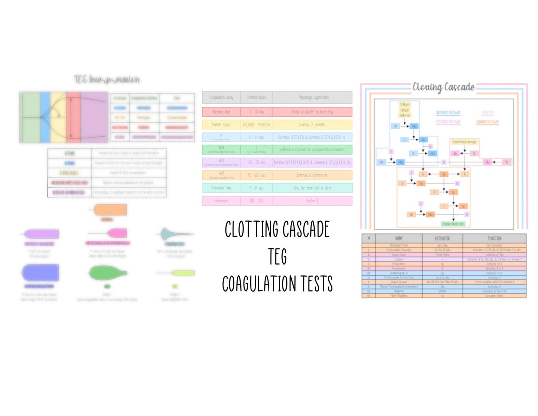 Teg/clotting Cascade/coagulation Tests - Study Bundle - Anesthesia ...