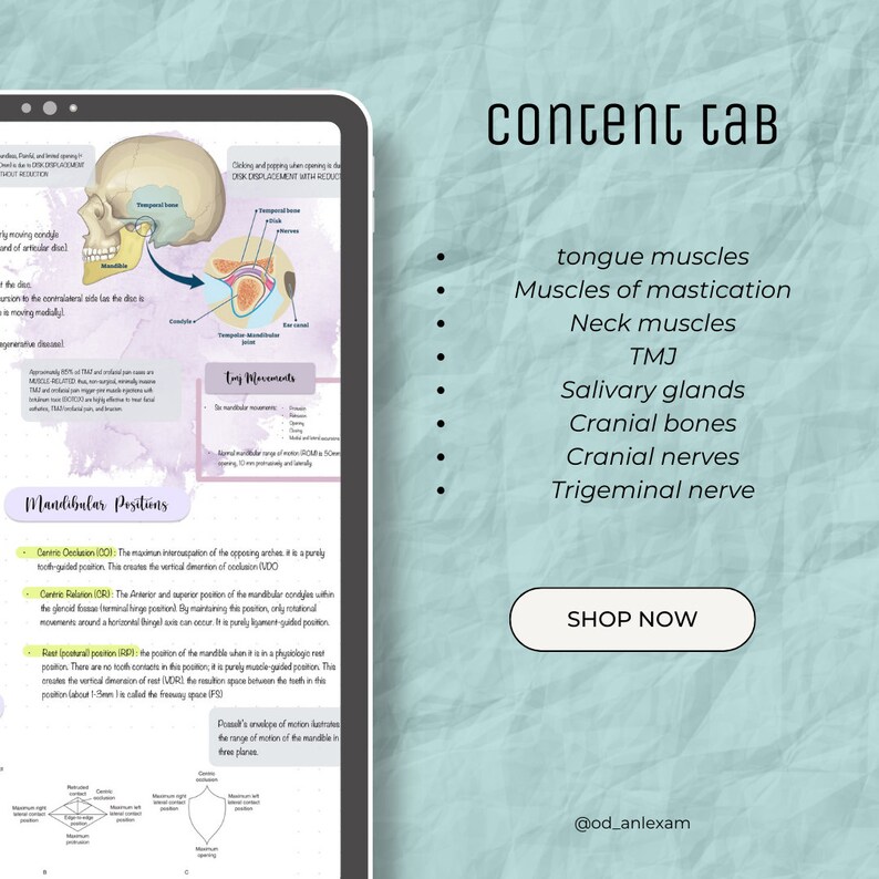 Inbde Study Notes INBDE Head and Neck Anatomy Notes Bundle (goodnotes Dentistry Notes) - Etsy