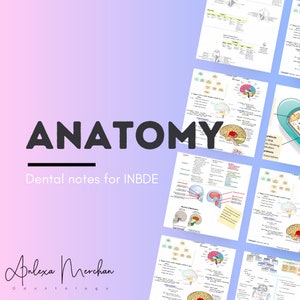 Puede incluir: Un gráfico colorido con la palabra "ANATOMY" en letras negras grandes y el texto "Dental notes for INBDE" debajo. El gráfico está rodeado de varias páginas de notas escritas a mano con diagramas del cerebro humano, el cráneo y los dientes.