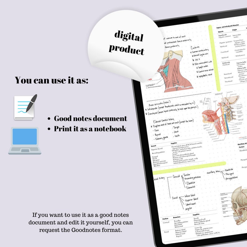 Inbde Study Notes Muscles of Mastication Study Bundle, Notes for INBDE, Dental Notes - Etsy