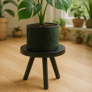May include: A potted Monstera plant with large, green, split-leaf foliage. The plant sits in a black patterned pot on a small, black, three-legged plant stand. The background includes other plants and a window.