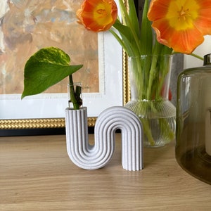 Può includere: Un vaso in ceramica bianca a forma di 'S' rovesciata con una singola pianta verde in un tubo di vetro. Il vaso è su una superficie di legno con un mazzo di tulipani arancioni in un vaso di vetro trasparente sullo sfondo.