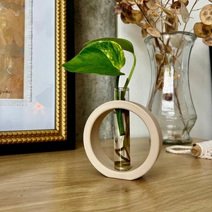 May include: A beige ceramic vase with a circular opening, holding a clear glass test tube with a single green and yellow leaf plant. The vase is sitting on a light brown wooden surface.