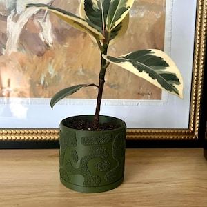 May include: A small potted plant with green and cream variegated leaves. The plant is in a dark green pot with a textured pattern. The pot sits on a wooden surface, with a framed painting in the background.