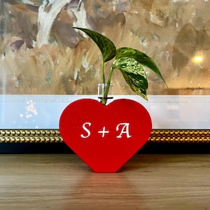 May include: A red heart-shaped wooden vase with the letters "S + A" in white. A small glass tube holds a plant with green and white variegated leaves. The vase sits on a wooden surface, with a framed painting in the background.