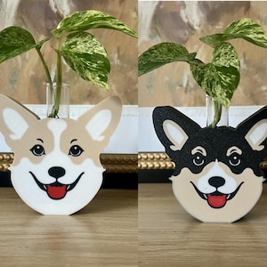 May include: Two ceramic dog head vases, one white with brown ears and one black with white ears, each with a clear glass test tube for holding a plant. The plant is a variegated pothos with green and white leaves.