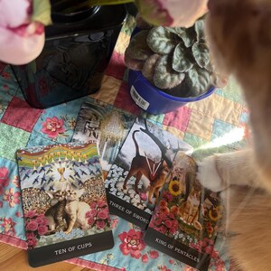 Lecture de cartes de tarot d'anniversaire - Un cadeau personnalisé pour la découverte de soi et la célébration