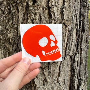 Skull Decal