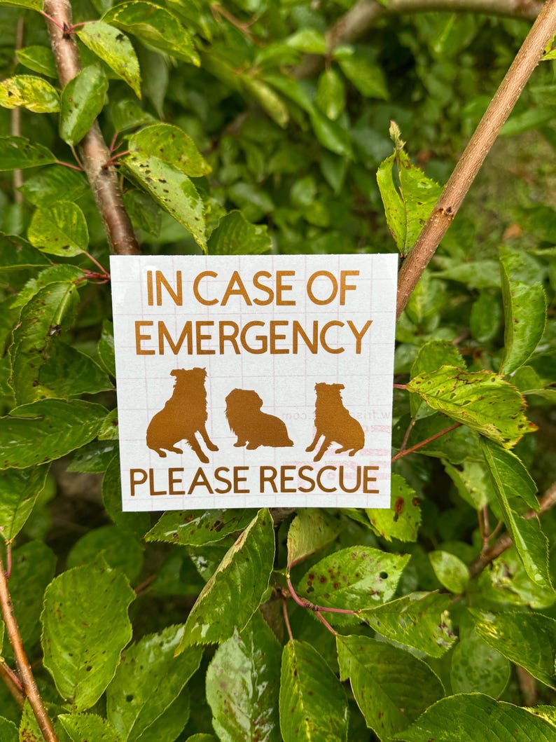 May include: A white sticker with the text "IN CASE OF EMERGENCY PLEASE RESCUE" in brown lettering. Three brown dog silhouettes are featured above the text. The sticker is set against a backdrop of green leaves.
