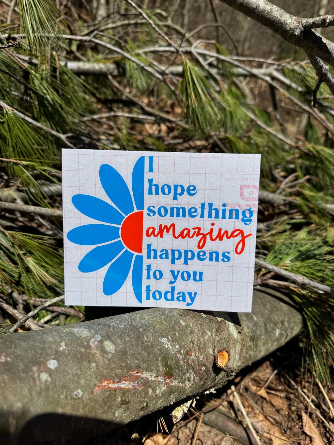 I Hope Something Amazing Happens to You Today Decal - Etsy