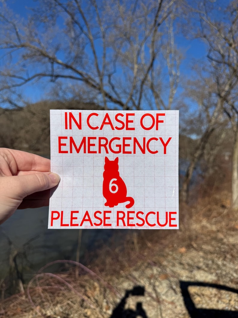 May include: A square, white sticker with red text and a red cat silhouette. The text reads "IN CASE OF EMERGENCY PLEASE RESCUE" with the number "6" inside the cat silhouette. The sticker is held up outdoors.