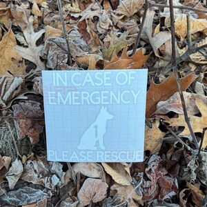 May include: A white square sticker with the text "IN CASE OF EMERGENCY PLEASE RESCUE" and a silhouette of a dog. The sticker is placed on a bed of brown and tan leaves.