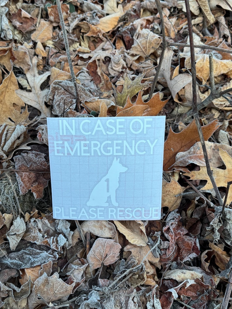 May include: A white square sticker with the text "IN CASE OF EMERGENCY PLEASE RESCUE" and a silhouette of a dog. The sticker is placed on a bed of brown and tan leaves.