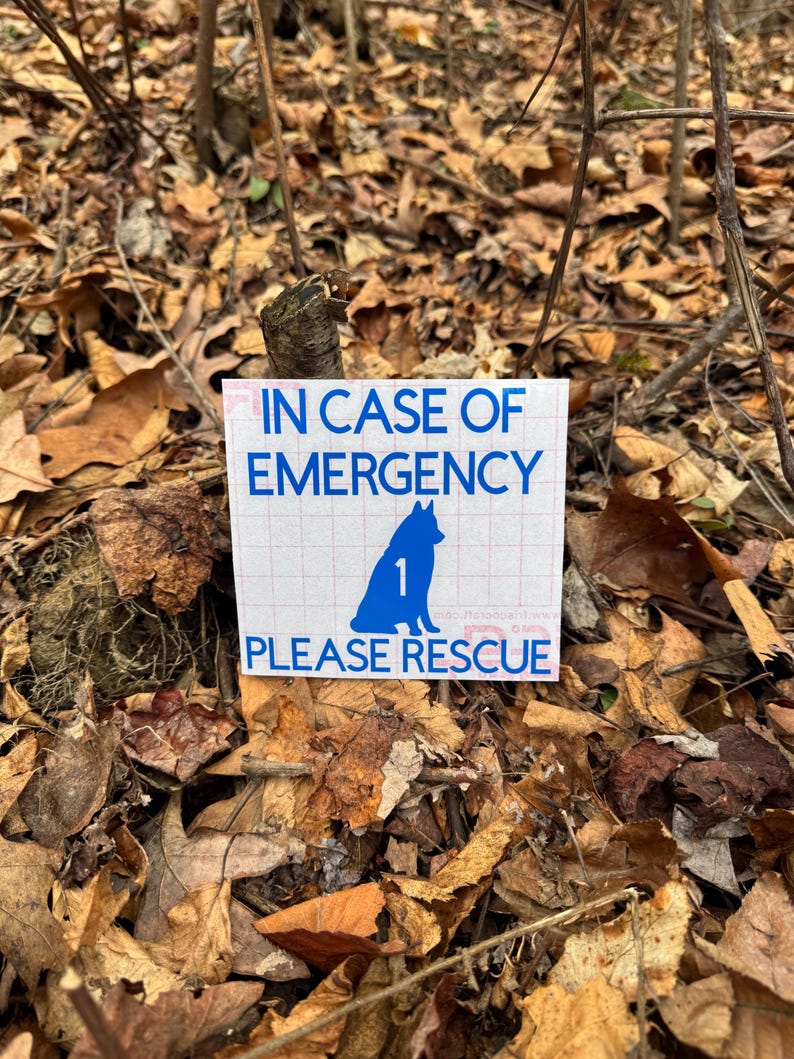 May include: A square white sticker with blue text and a blue dog silhouette. The text reads "IN CASE OF EMERGENCY PLEASE RESCUE". The sticker is placed on a bed of fallen leaves and twigs.