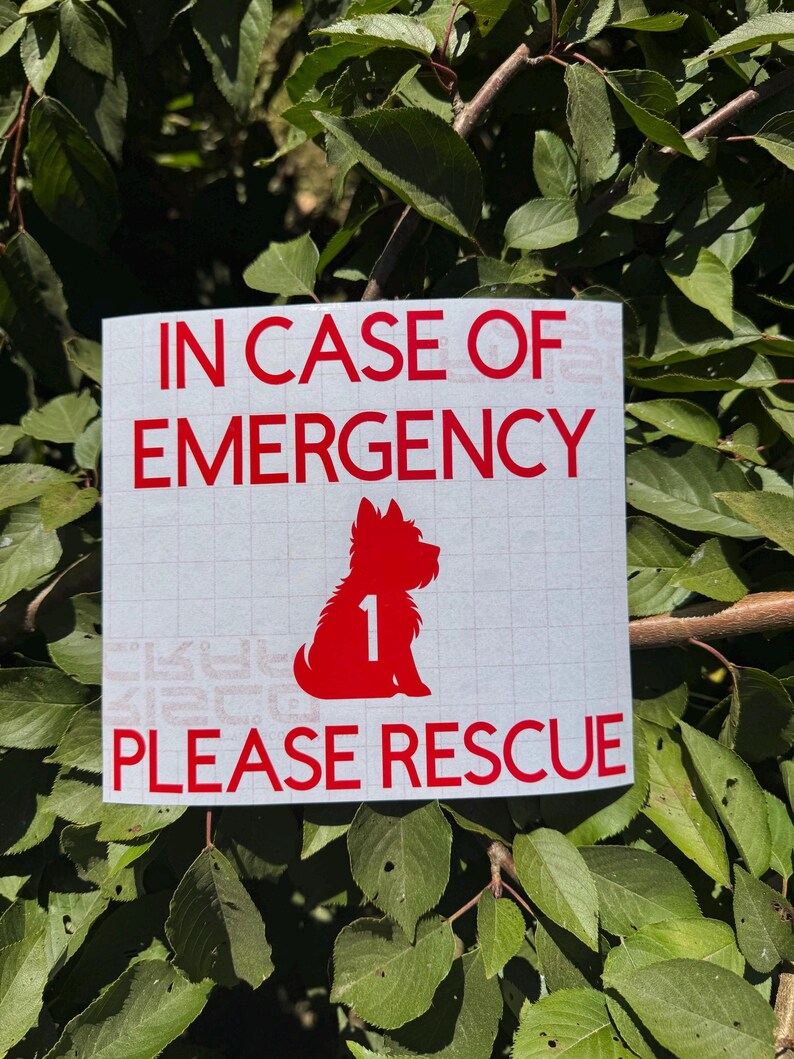 May include: A white square sign with red text that reads "IN CASE OF EMERGENCY PLEASE RESCUE". A red silhouette of a dog and the number 1 are also on the sign. The sign is surrounded by green leaves.