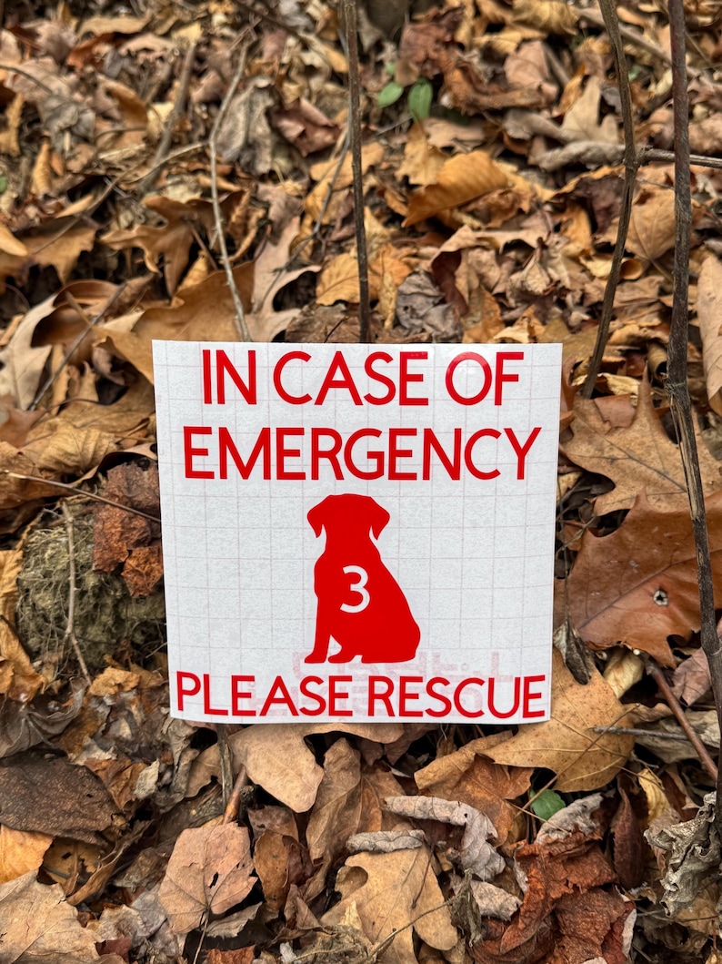 May include: A white square sign with red text that reads "IN CASE OF EMERGENCY PLEASE RESCUE". A red silhouette of a dog with the number 3 is in the center of the sign. The sign is surrounded by fallen leaves.