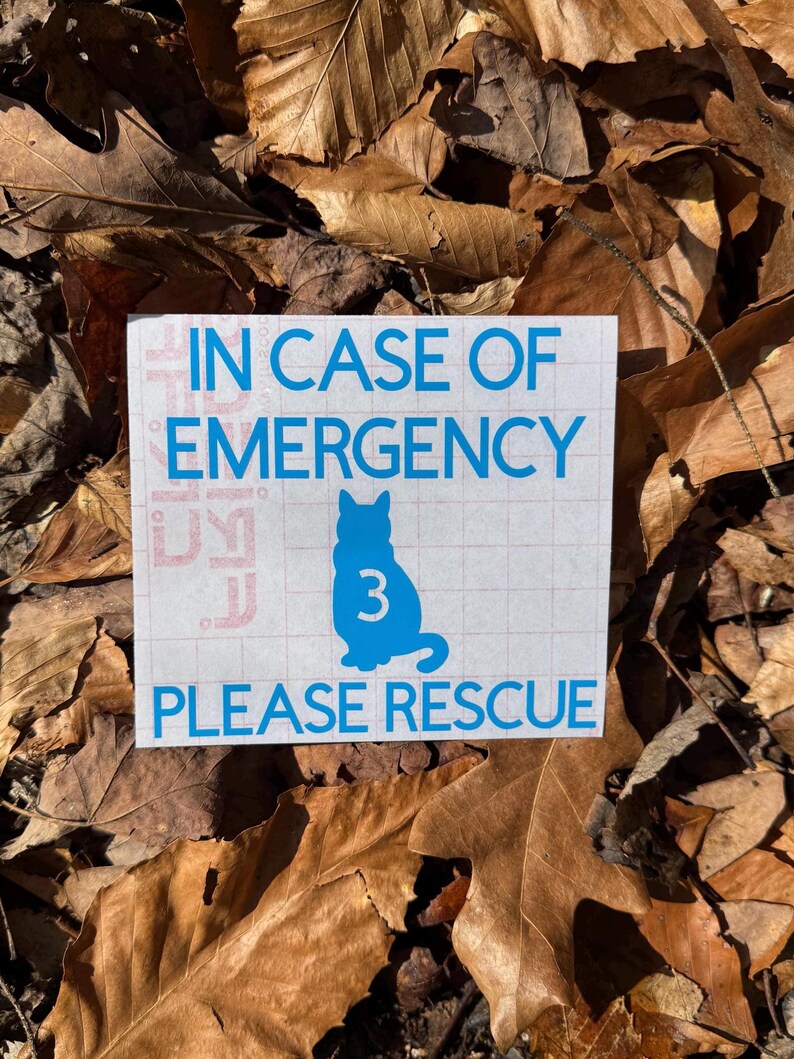 May include: A white sticker with blue text and a cat silhouette. The text reads "IN CASE OF EMERGENCY PLEASE RESCUE" with a cat graphic and the number "3". The sticker is on a bed of brown leaves.