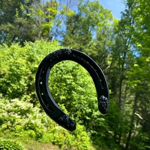 Lucky Horseshoe, Horseshoe, Housewarming Gift, unique gift, farm decor, horseshoe, western decor