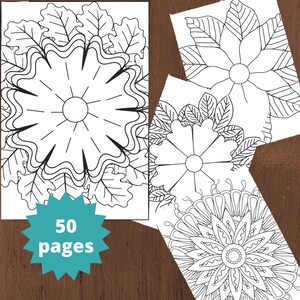 Mandala Flower Coloring Pages - Highly detailed printable mandala coloring pages - Coloring book pages for adults, teens and artists