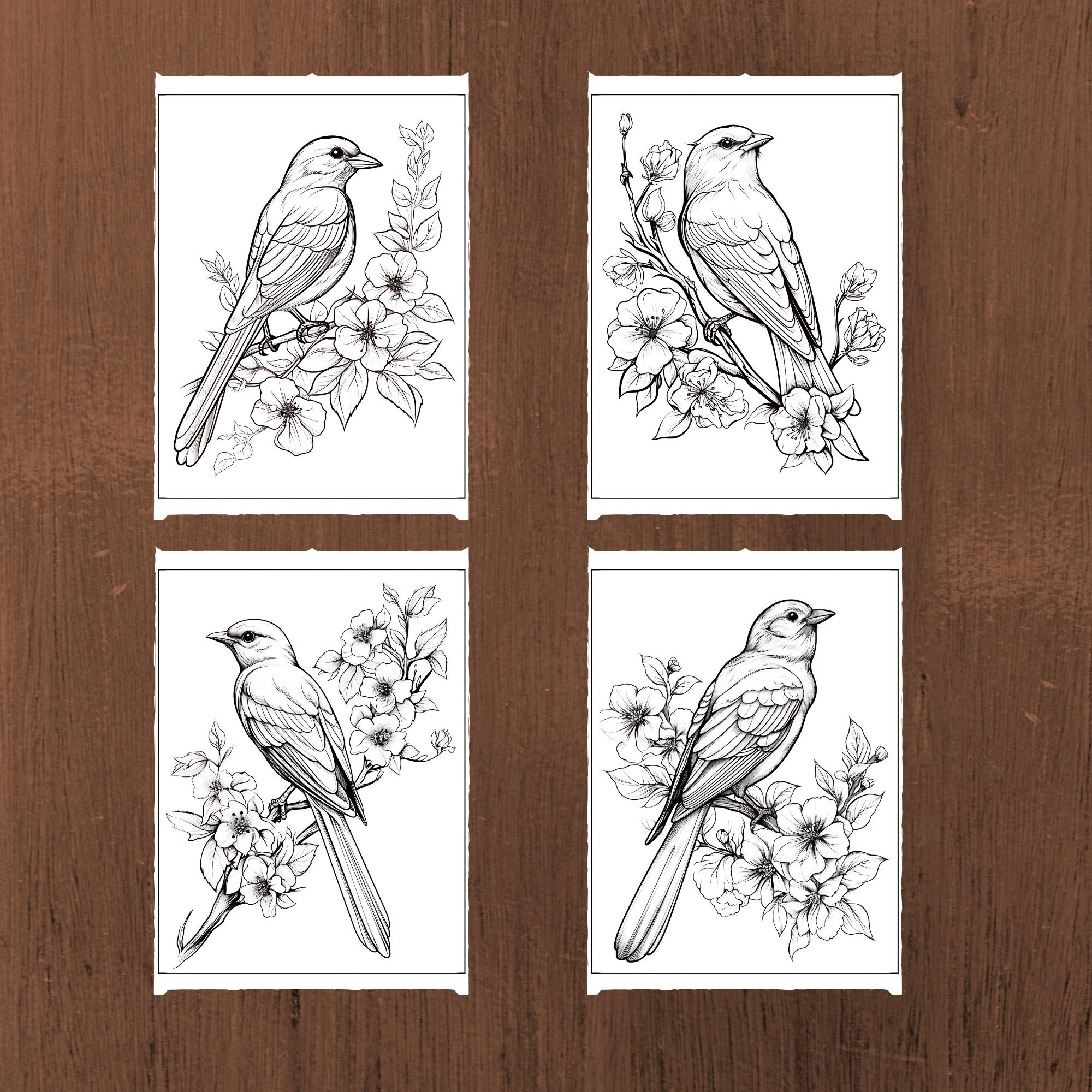 Bird Coloring Pages, Animal Coloring Pages, Coloring Book for Adults