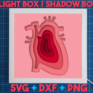 Herz Light Box / Shadow Box Vorlage, Lightbox SVG Cricut, Anatomie Shadowbox, medizinisches Büro Dekor, medizinisches Büro Geschenk, Herzsystem