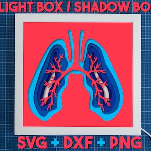 Lungs Light Box / Shadow Box Template, Lightbox SVG Cricut, Anatomy shadowbox, Medical Office Decor, Medical office gift, Respiratory System
