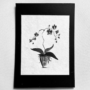 Sumi Ink Orchid painting - mounted - 5 x 7 inch - Phalaenopsis